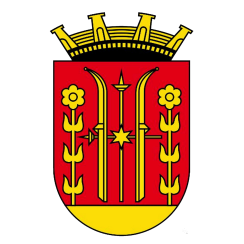 Skien Kommune